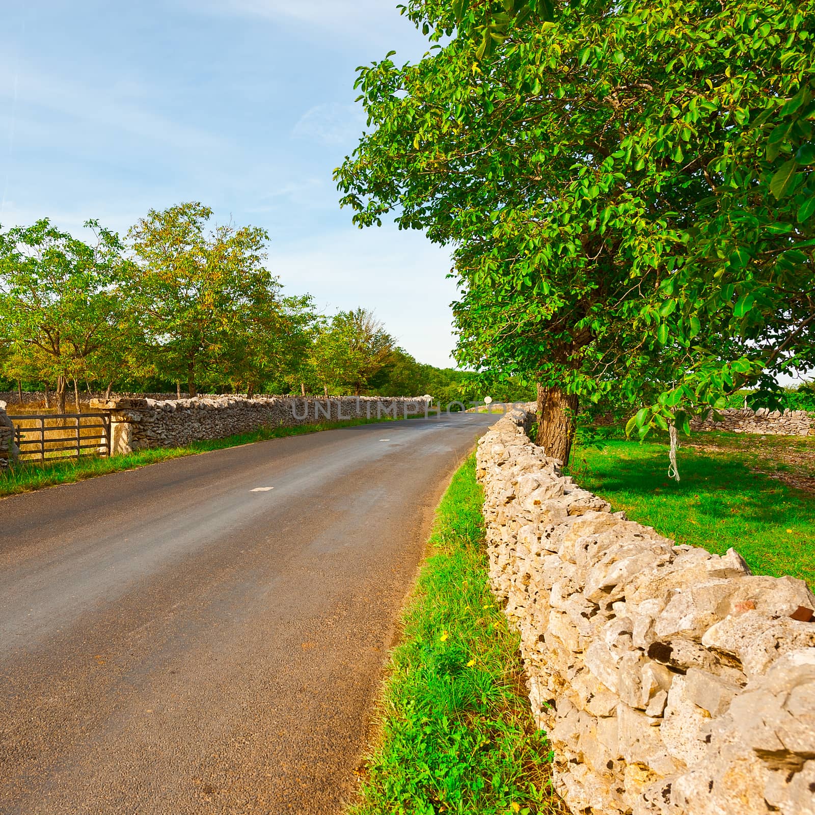 Asphalt Road along the Pasture Divided into Section by the Stone Wall
