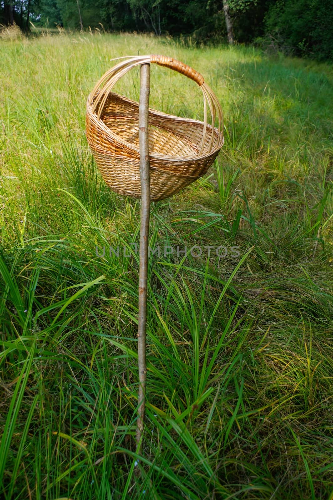 a closeup picnic basket hanging on a rod in grass, outside with green nature background