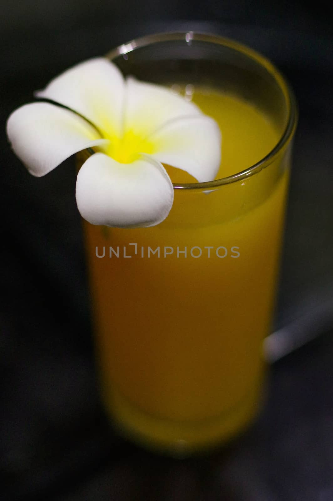 Freshly squeezed fresh orange juice, close-up with a Magnolia blossoms on the glas on dark background by evolutionnow