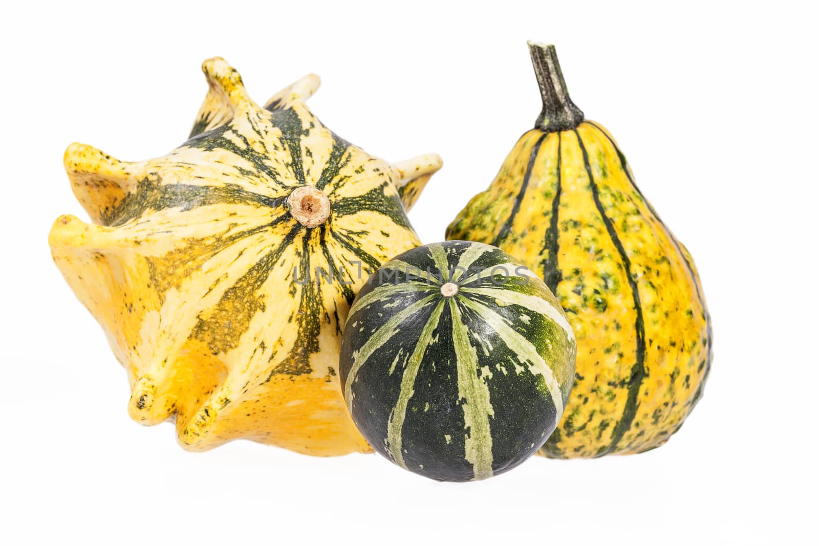 Vegetables of pumpkin decorative isolated on white background by mychadre77