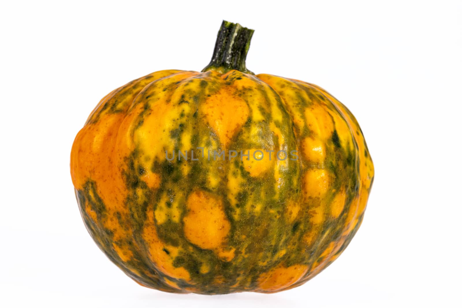 Vegetable of pumpkin decorative isolated on white background by mychadre77