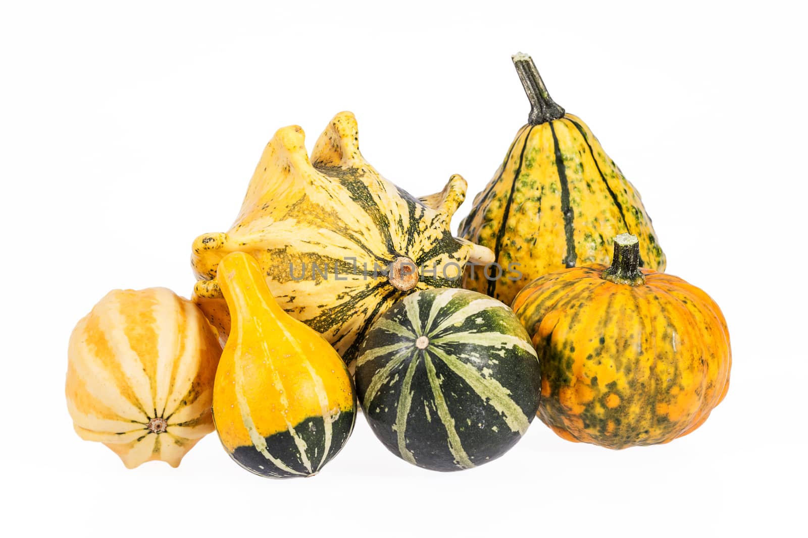 Vegetables of pumpkin decorative isolated on white background by mychadre77