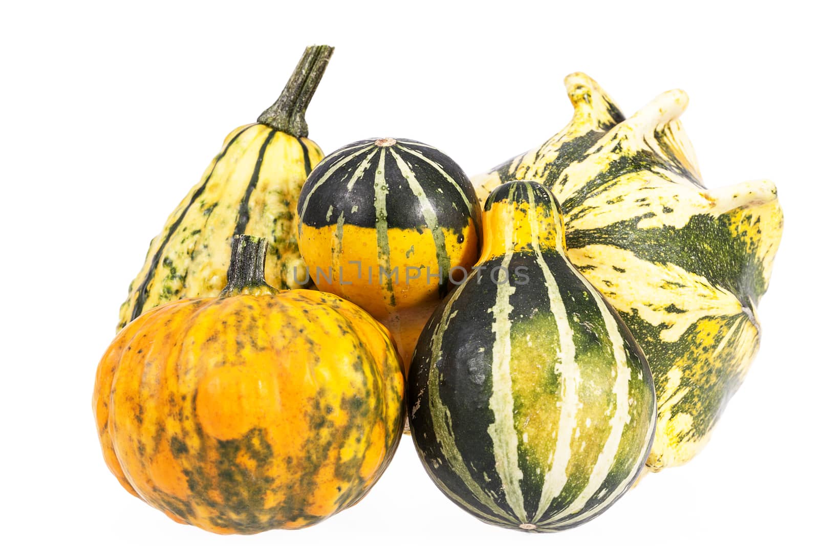 Vegetables of pumpkin decorative isolated on white background