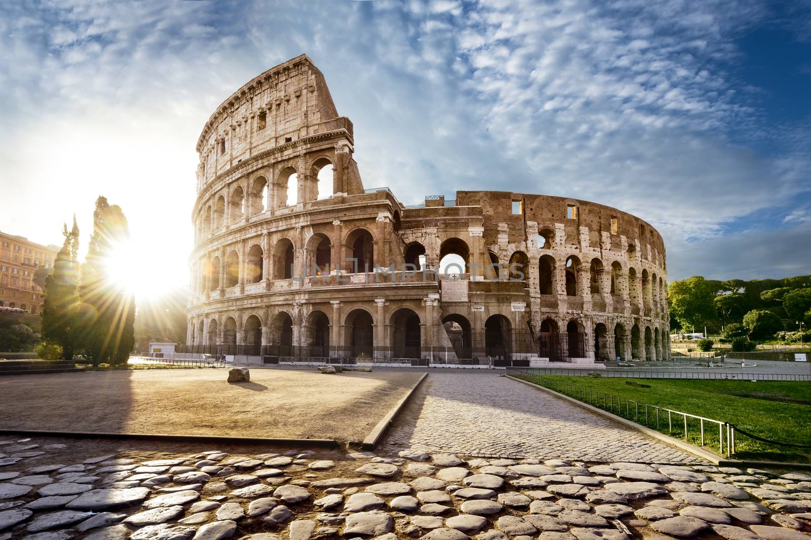 Colosseum in Rome and morning sun, Italy by ventdusud