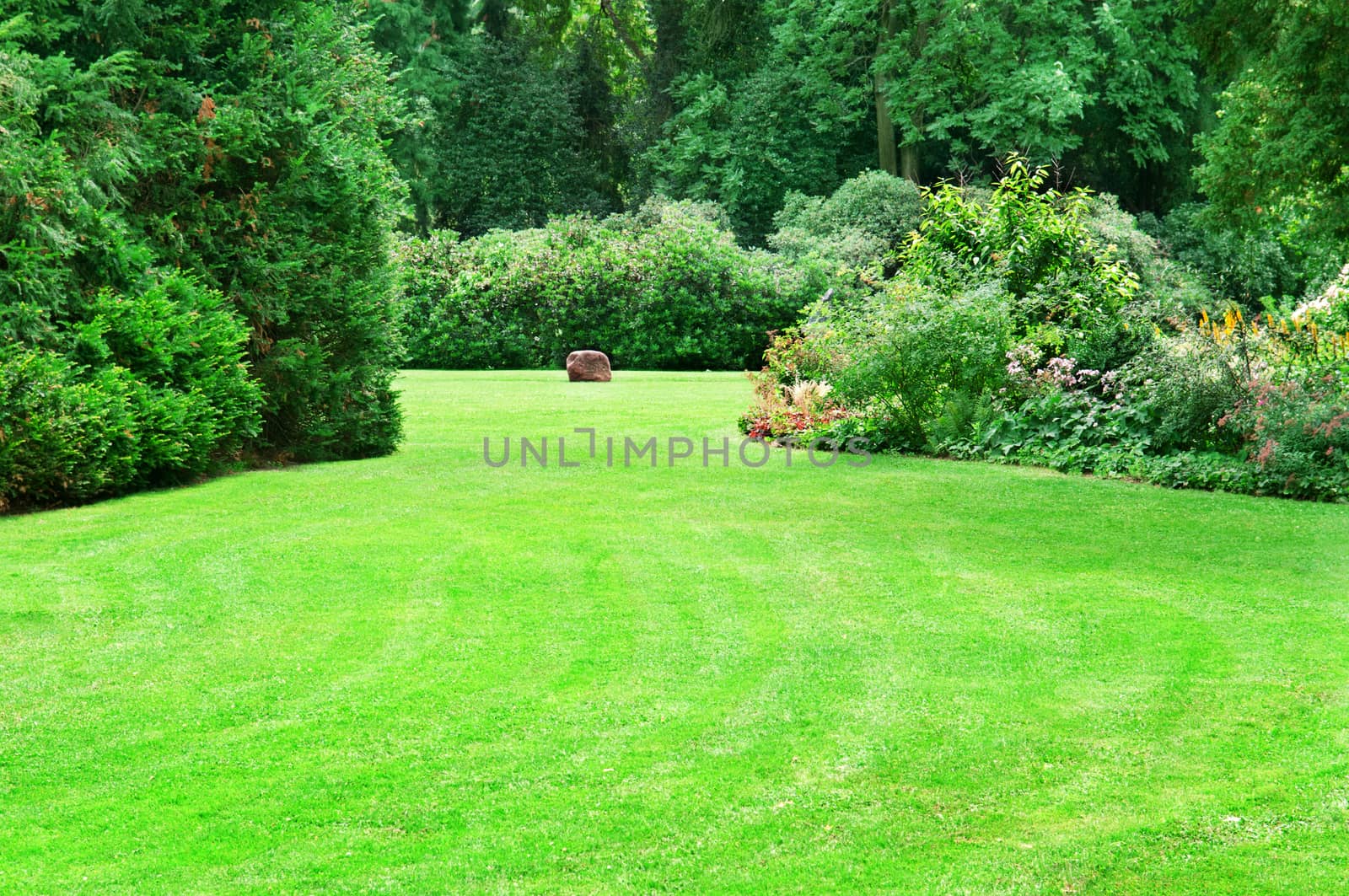 beautiful summer garden with large green lawns