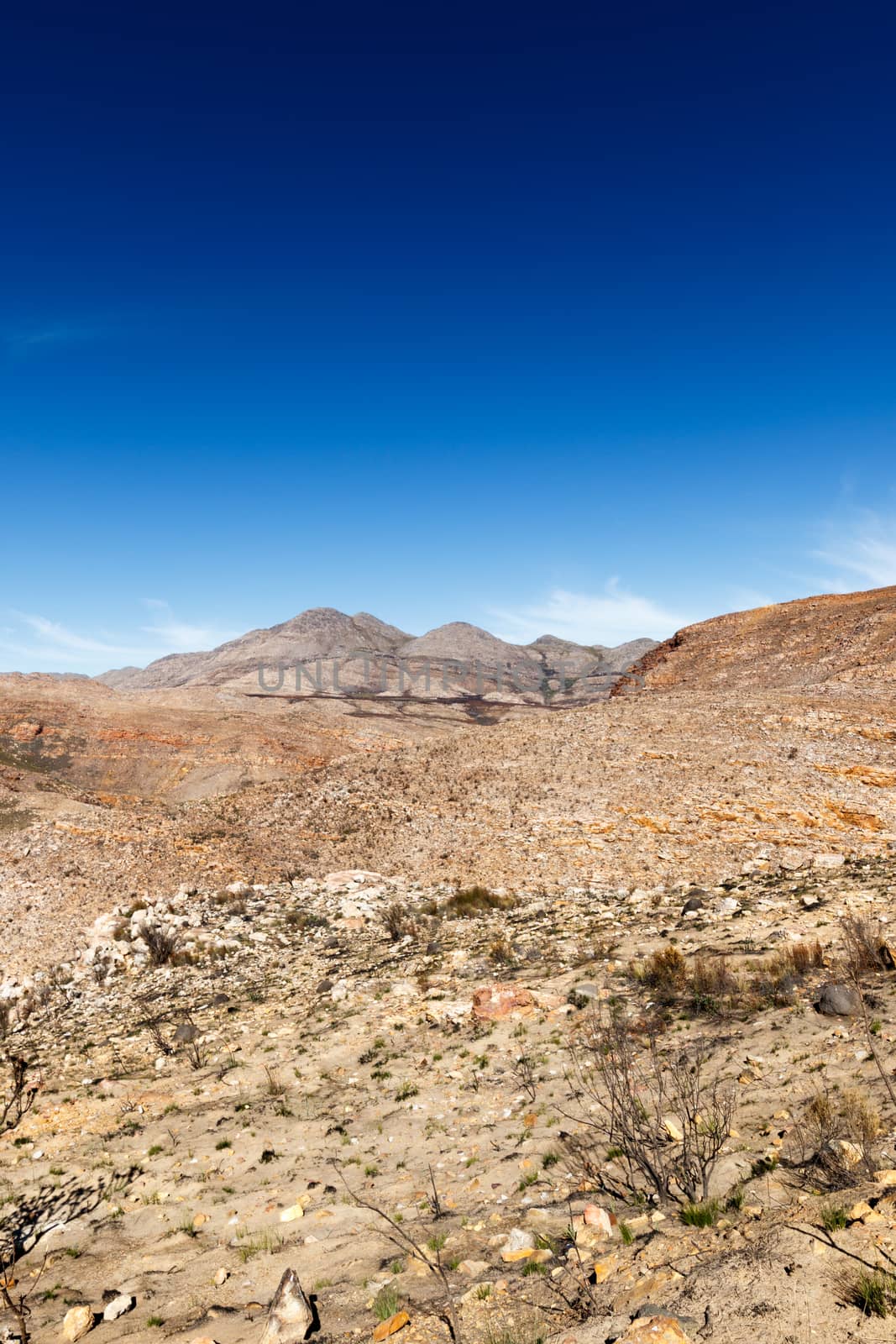 Portrait  - Valley of Death in the Swartberg Pass by markdescande