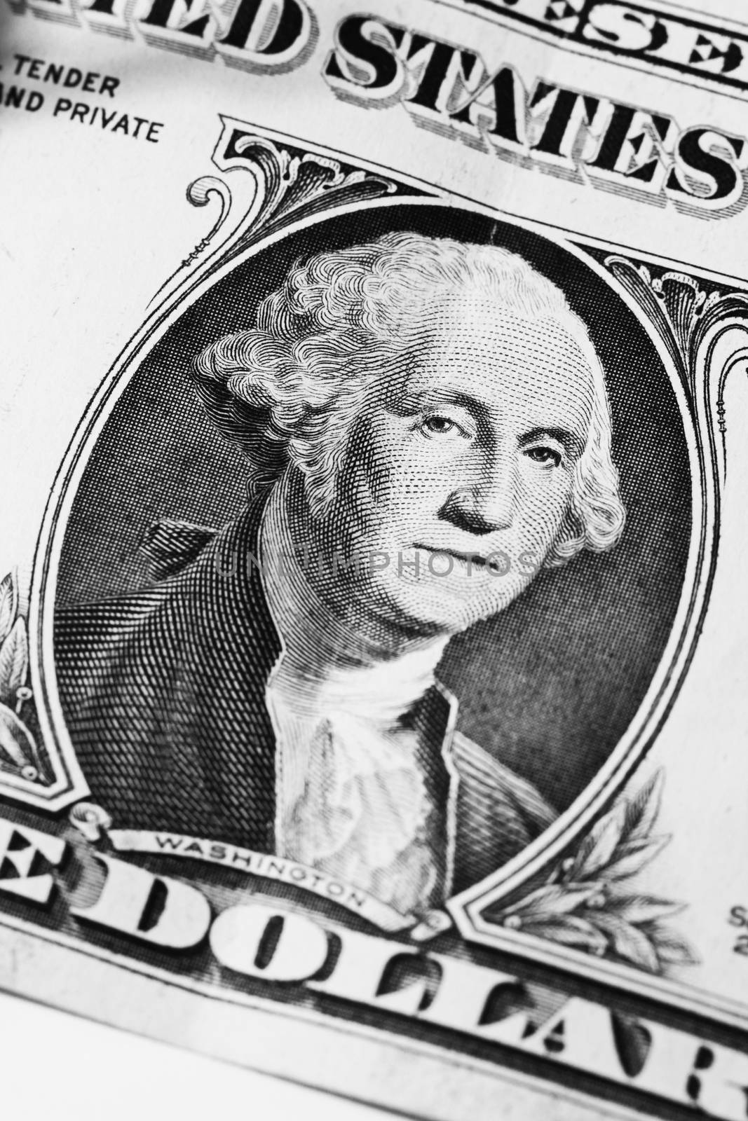 Washington on dollar by Voinakh