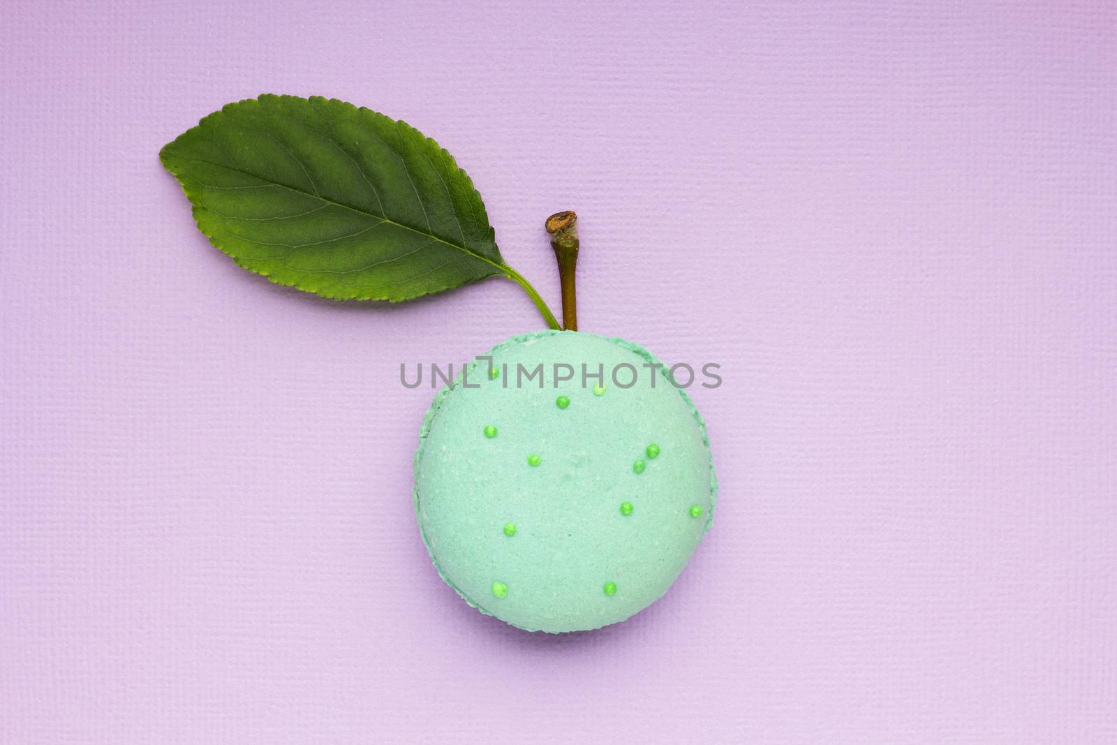 Creative concept photo of a macaroon with apple leaf and twig on purple background.