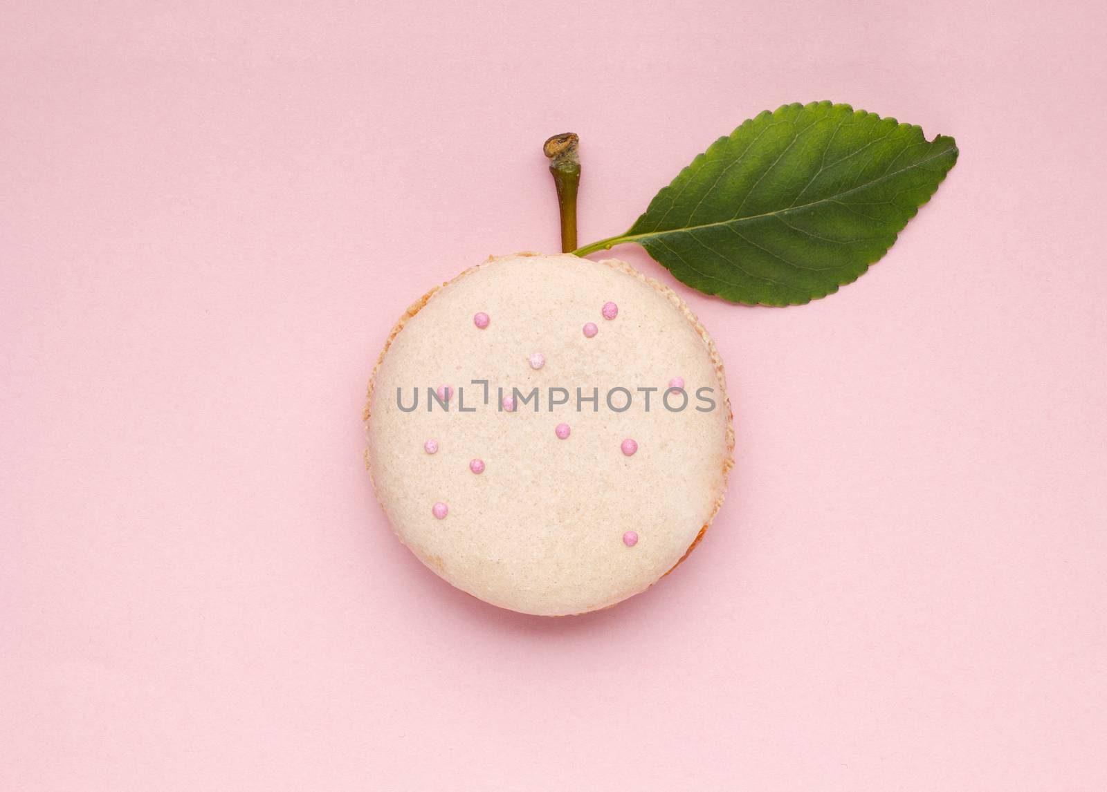 Creative concept photo of a macaroon with apple leaf and twig on pink background.