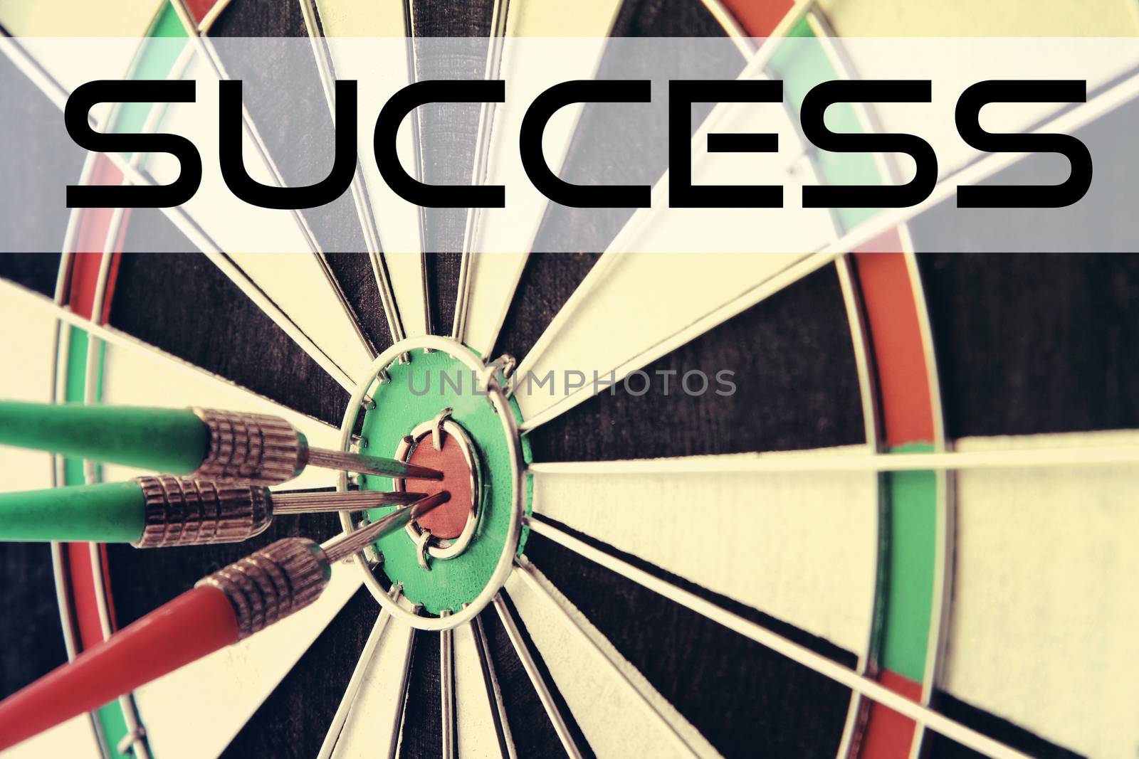 Darts with quote: Success by Voinakh
