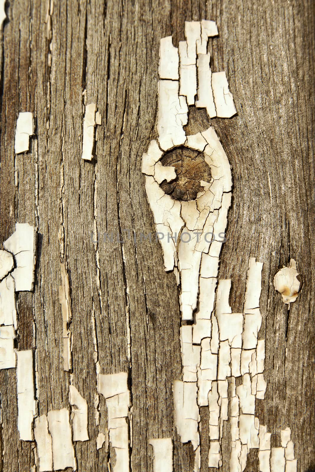 Cracked white paint texture on old wood by mowgli