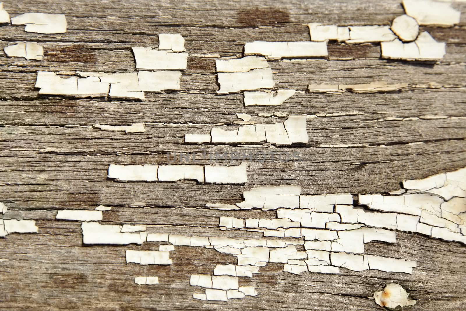 Cracked white paint texture on old wood by mowgli