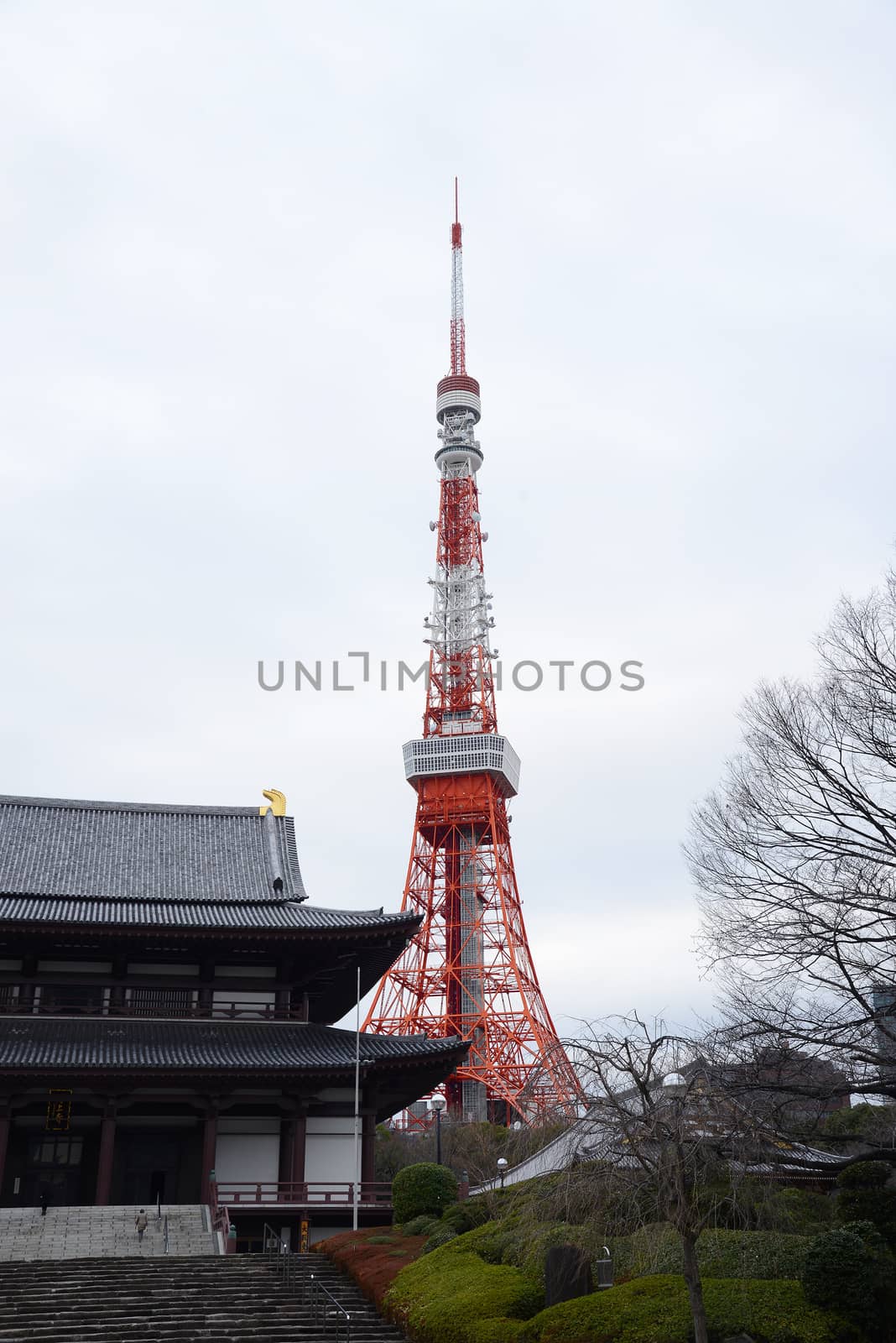 tokyo tower with zojoji temple