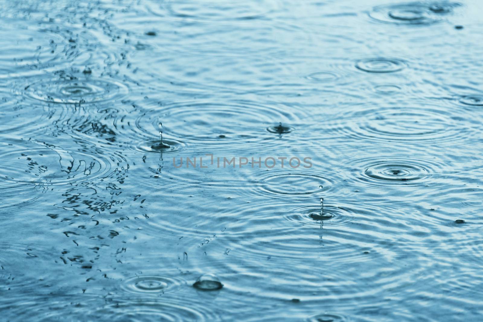 Raindrops creating concentric circles and droplets on a puddle water surface