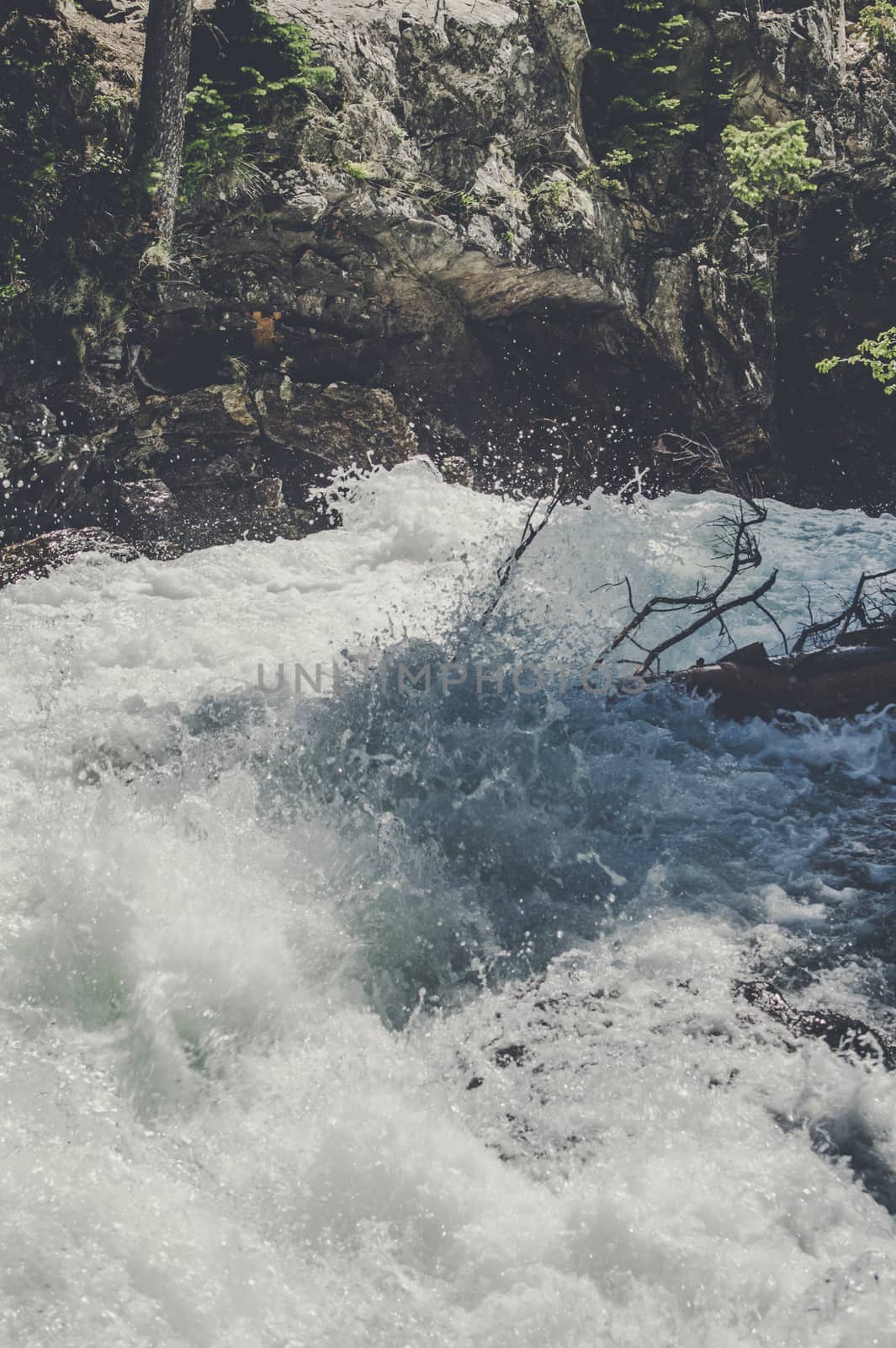 Wild river stream with splashing water in a mountain creek