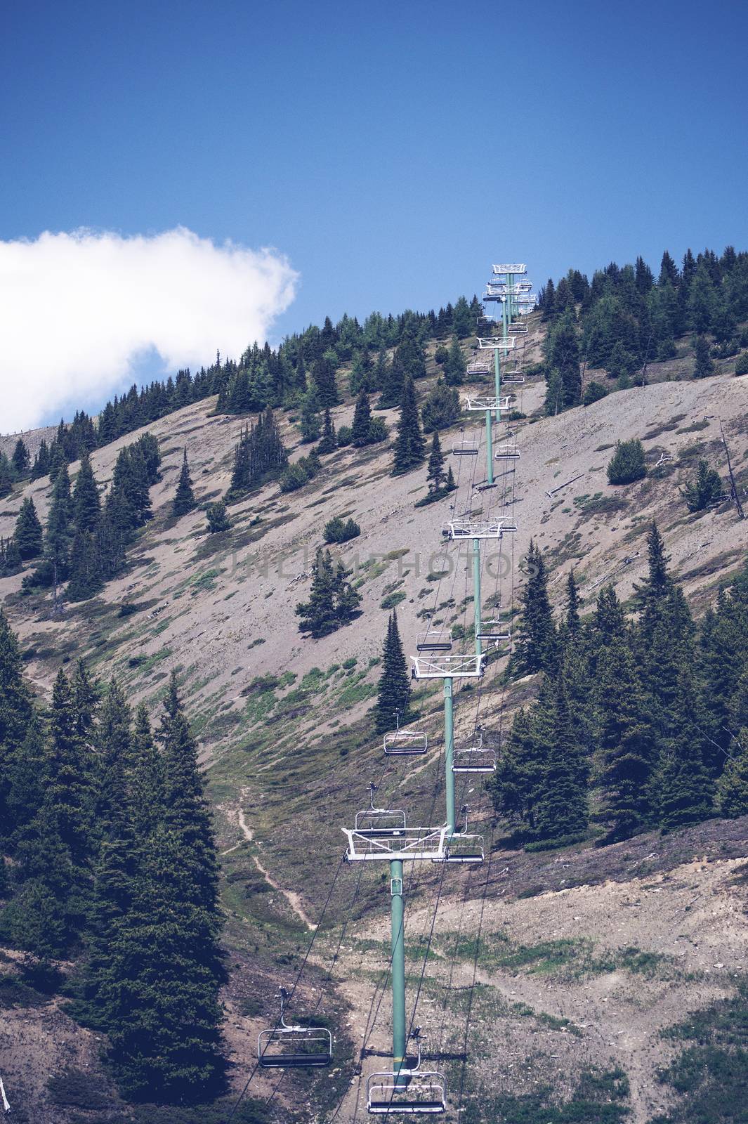 Mountain lift on a hill with pine trees