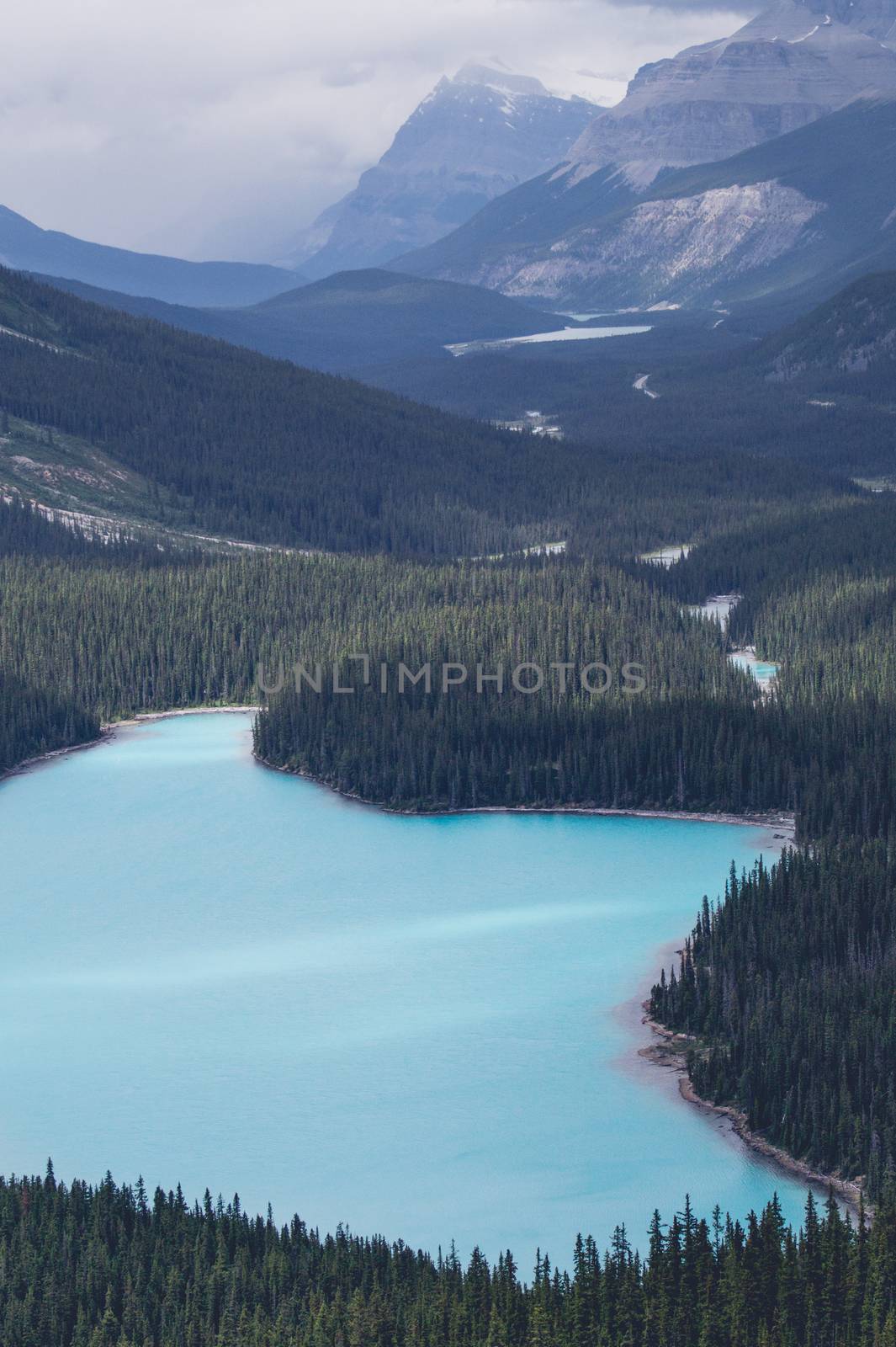 Blue mountain lake surrounded by pine trees