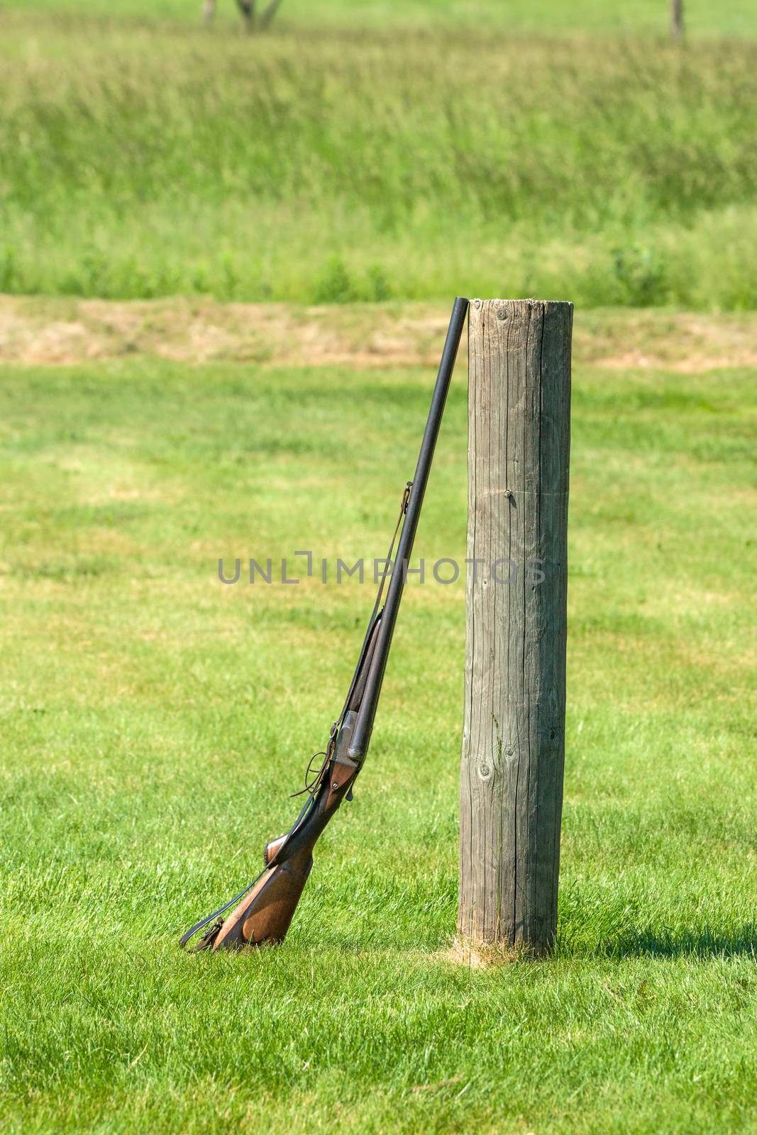 Rifle standing against a wooden pole on a green meadow