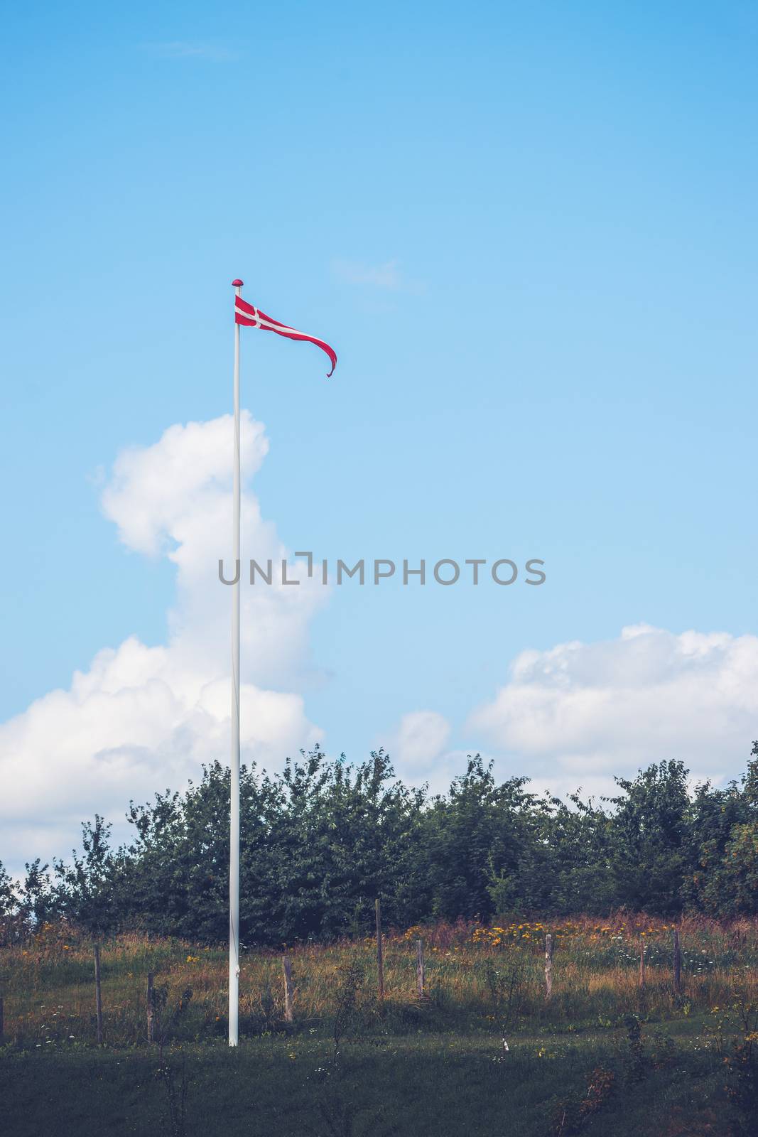 Pennant in danish colors on a lawn by Sportactive