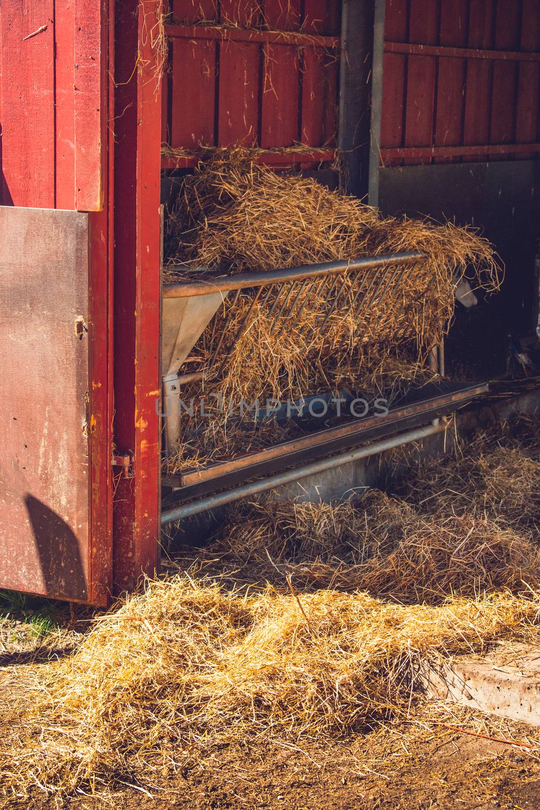 Stable with golden hay in a rural environment