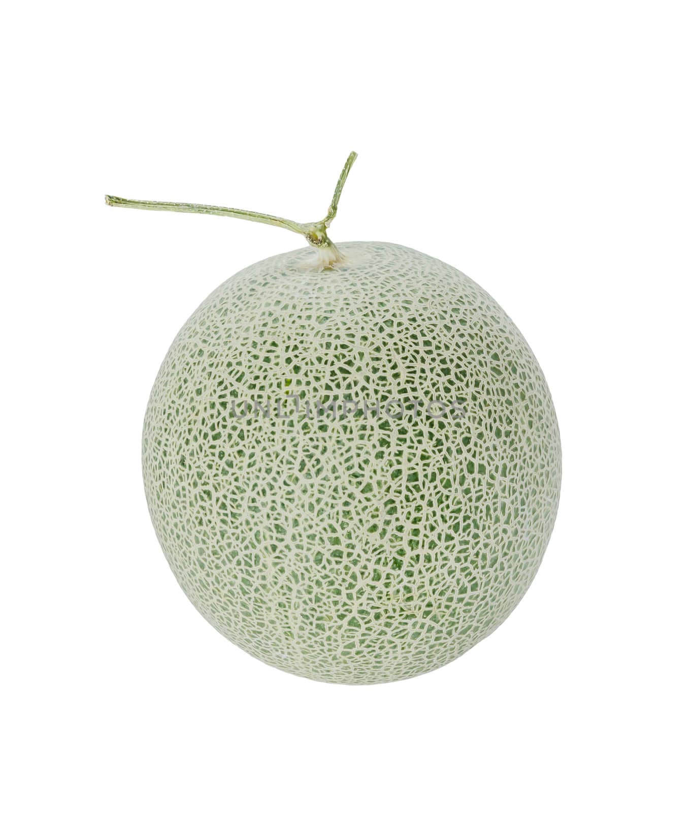 shopped green melon isolated on white background