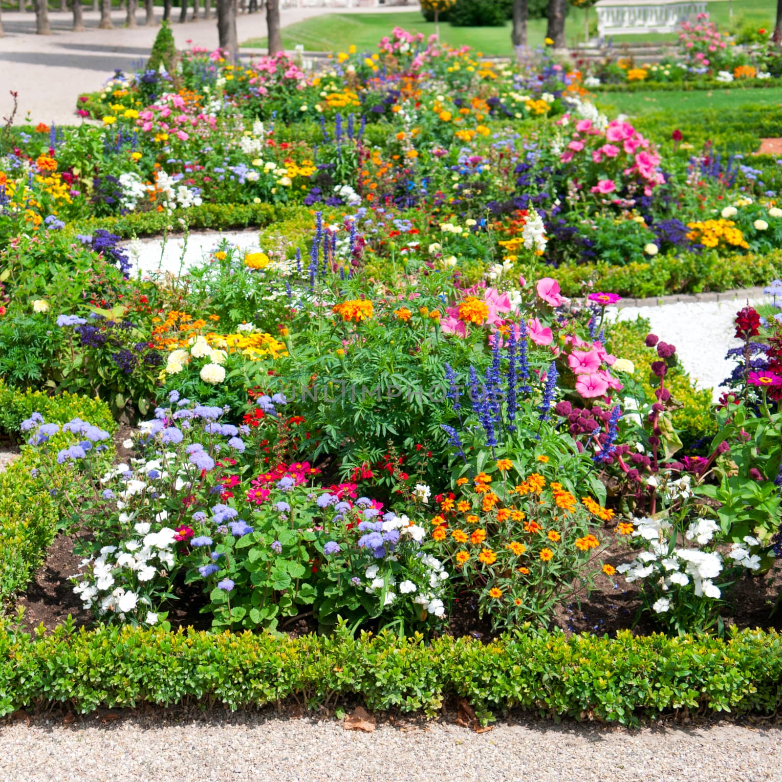 delightful flower bed in the summer park