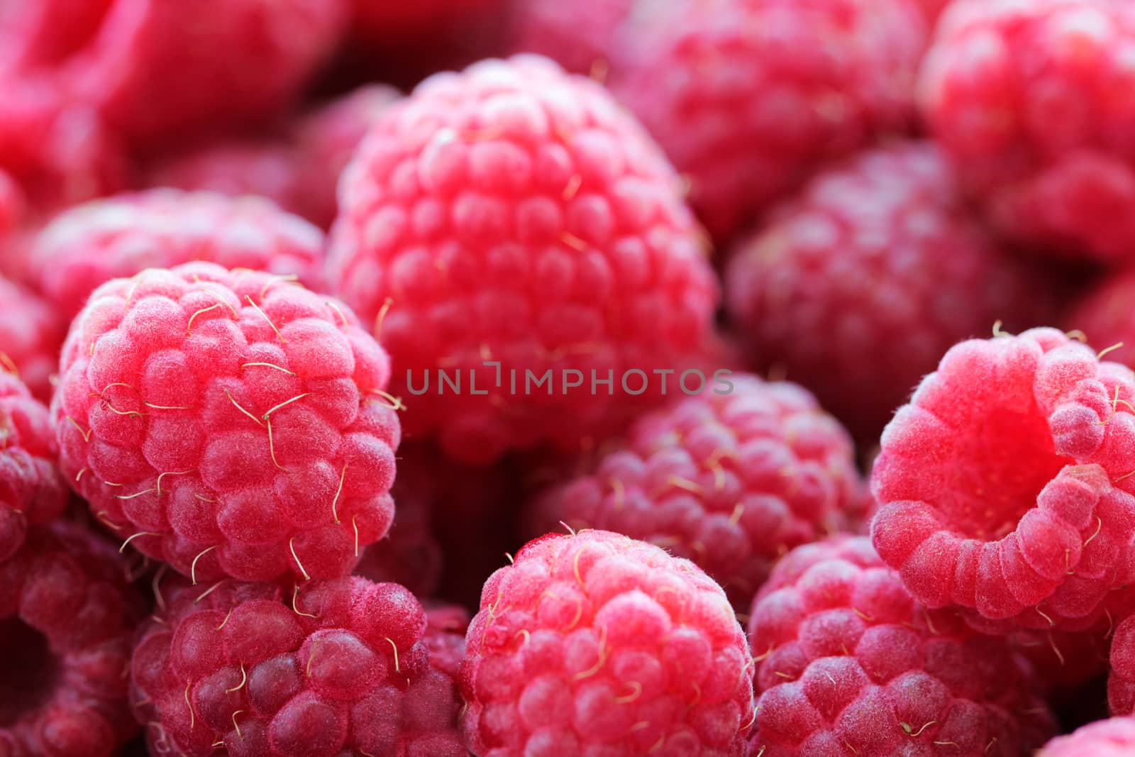 Raspberries tasty food background close up macro photo