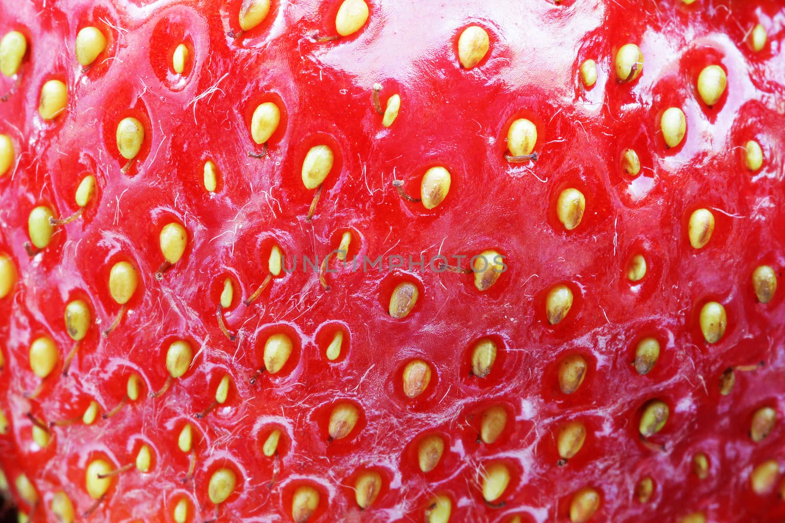Strawberry food background close up macro photo