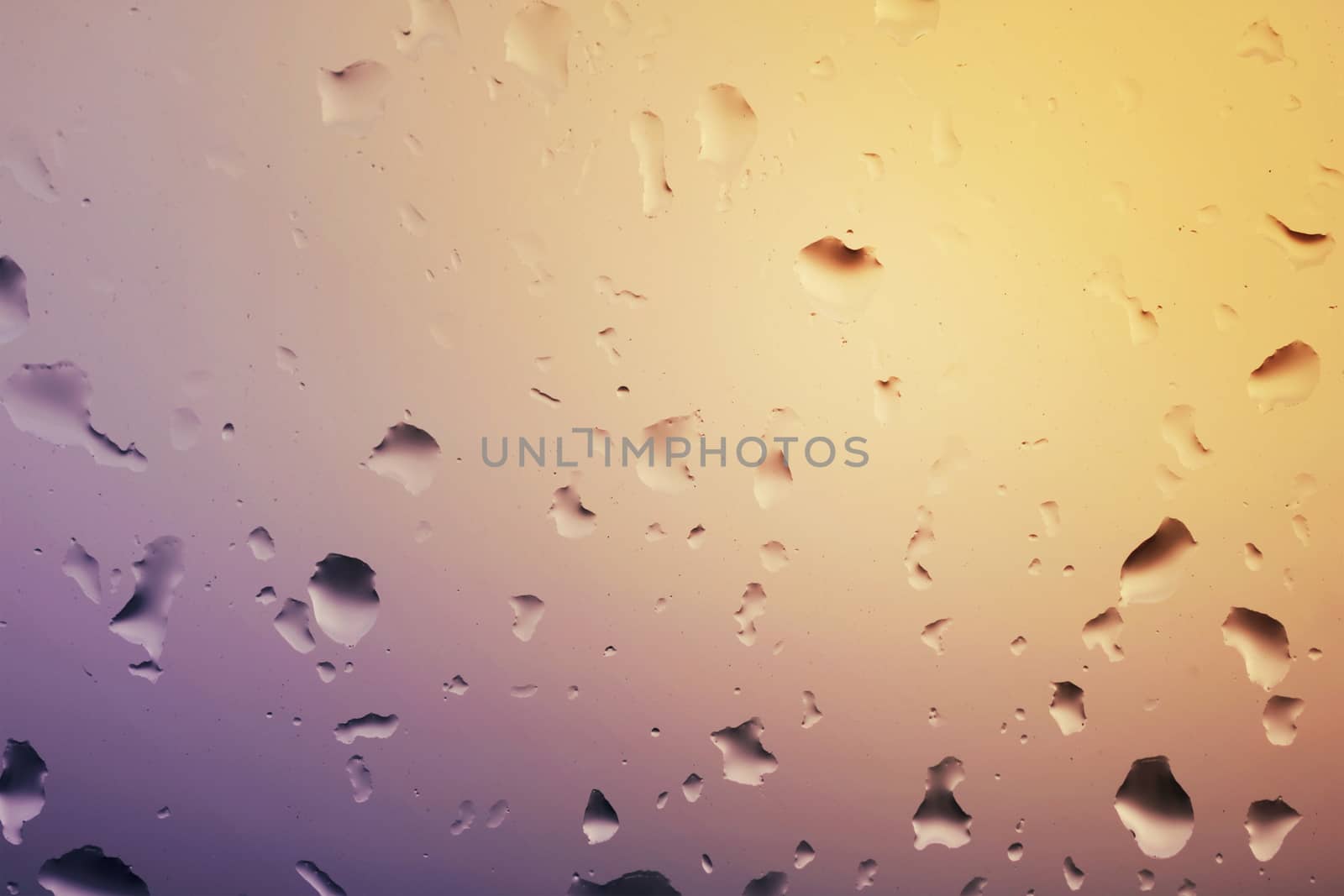 Rain water drops on glass window. Beautiful background of rain drops on glass at the sunset