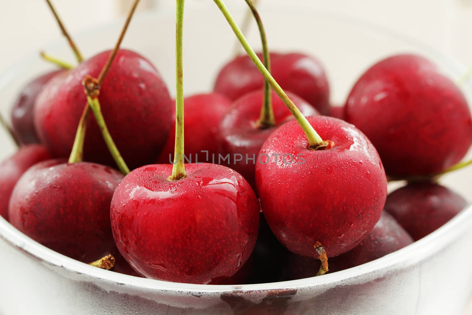 Beautiful cherry  close up photo by Voinakh