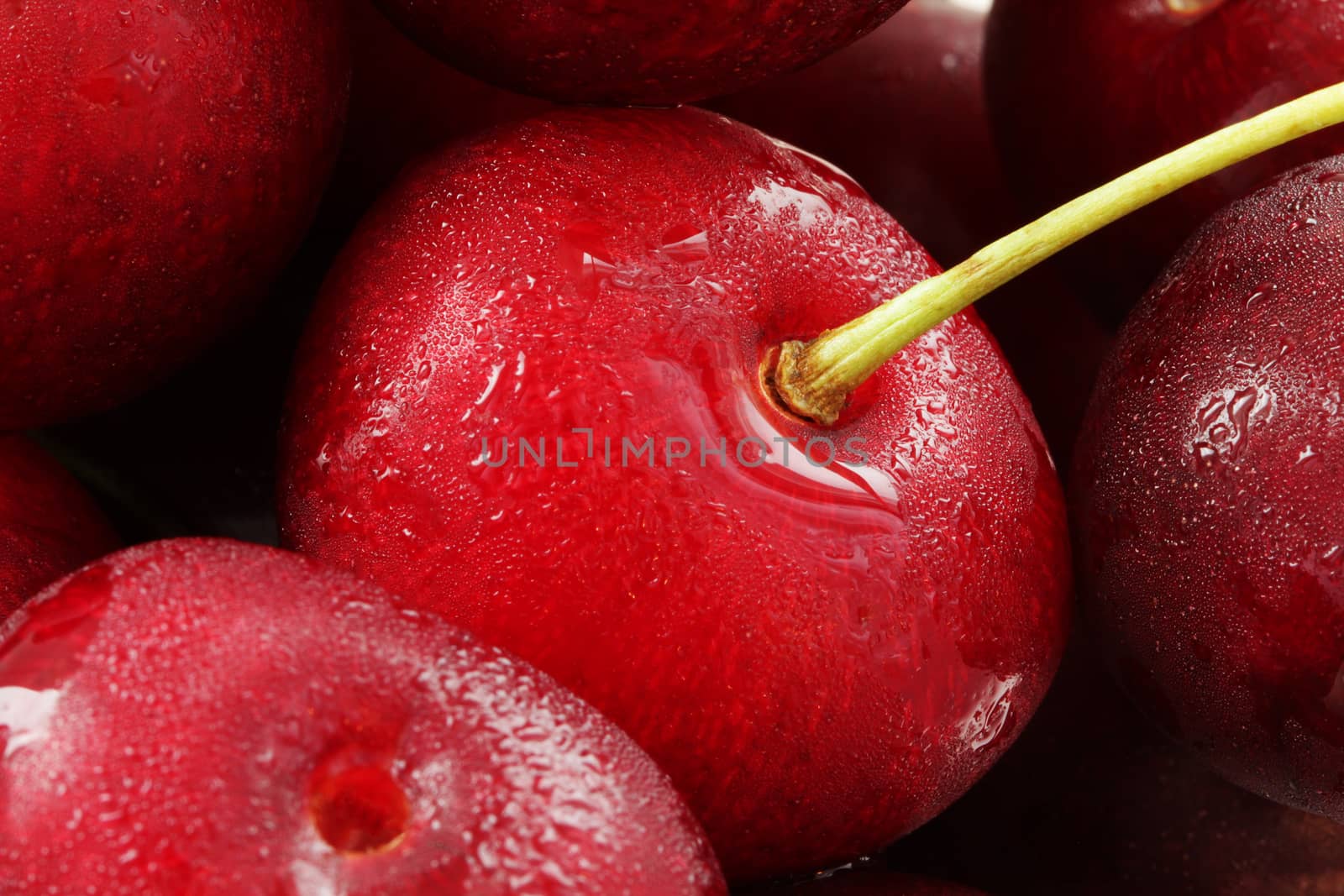 Beautiful red cherry  close up macro photo