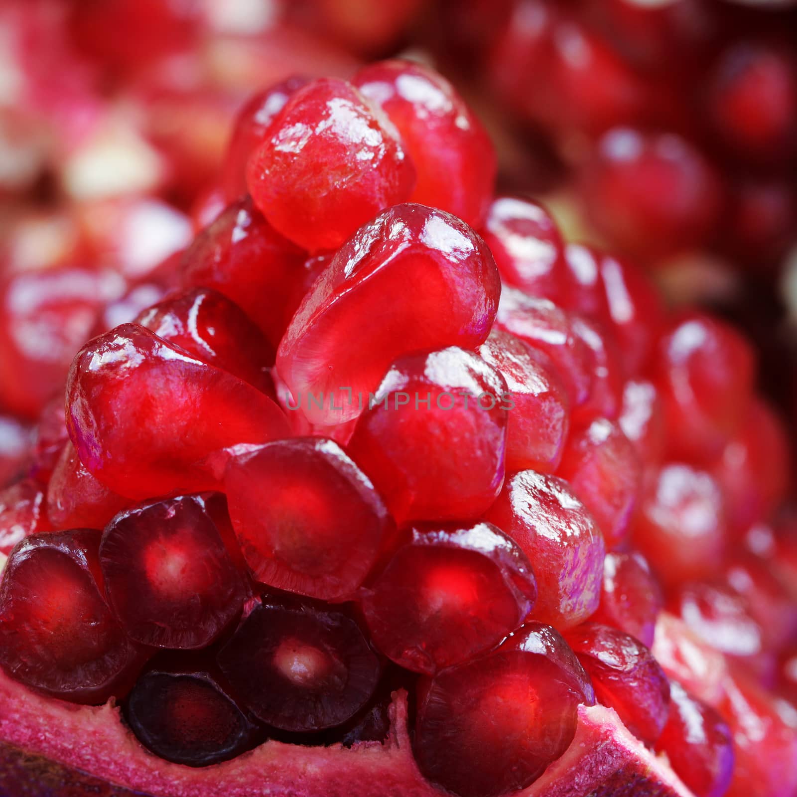 Pomegranate red fruit beautiful close up photo by Voinakh