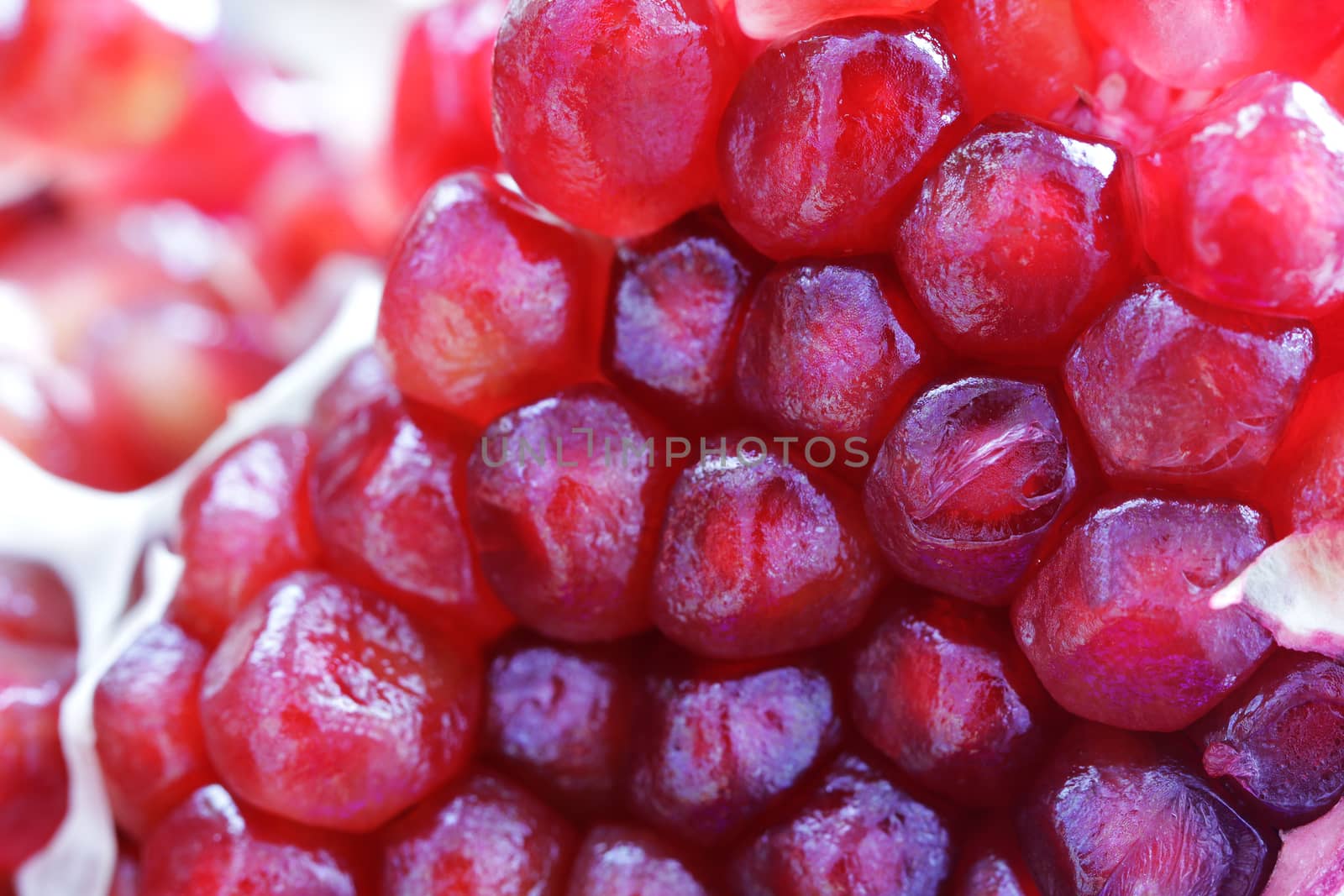 Pomegranate red fruit beautiful close up macro photo