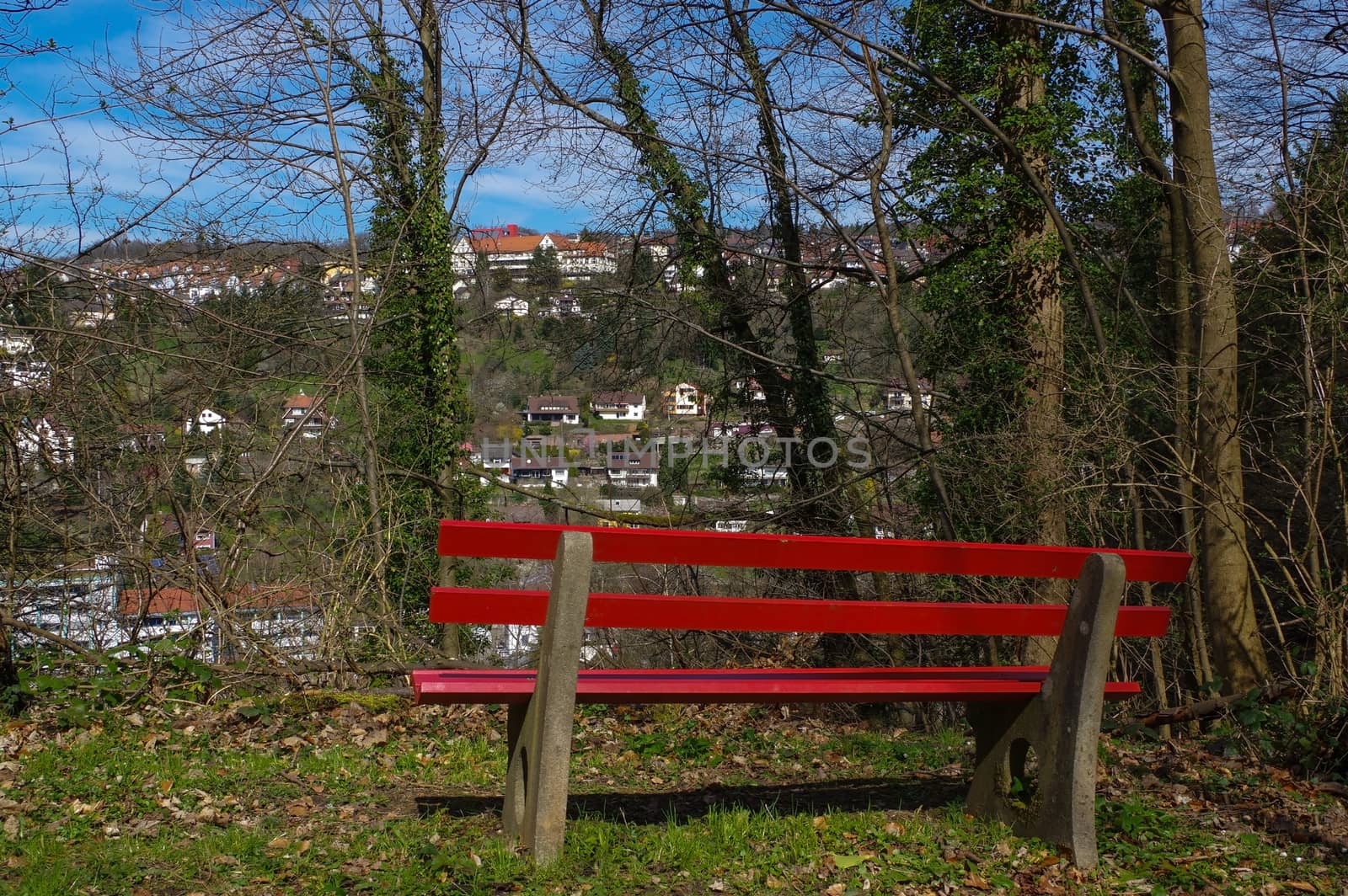 a wooden green park bench under trees in the forest