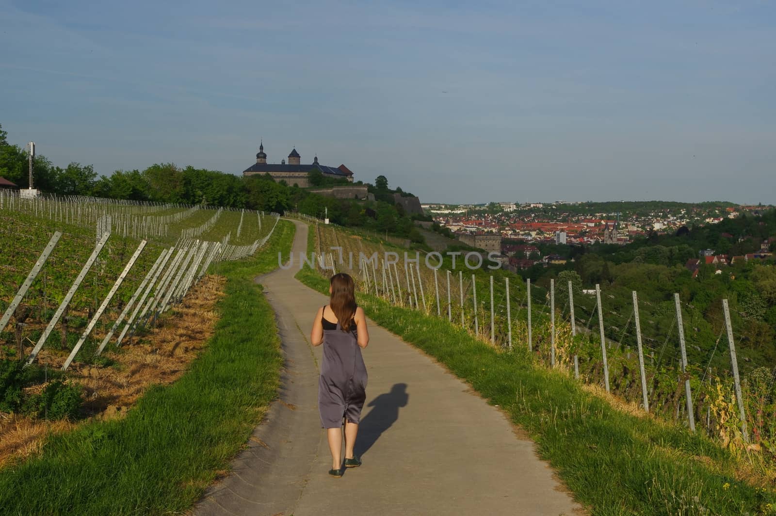 Woman walking on a road with Vineyard landscape view to the castle Marienberg in Wuerzburg Bavaria, Germany by evolutionnow