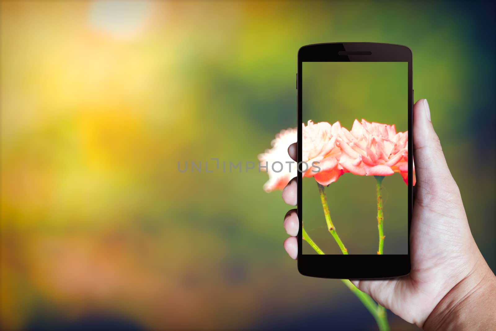 Modern mobile phone in the hand,on blur background image 