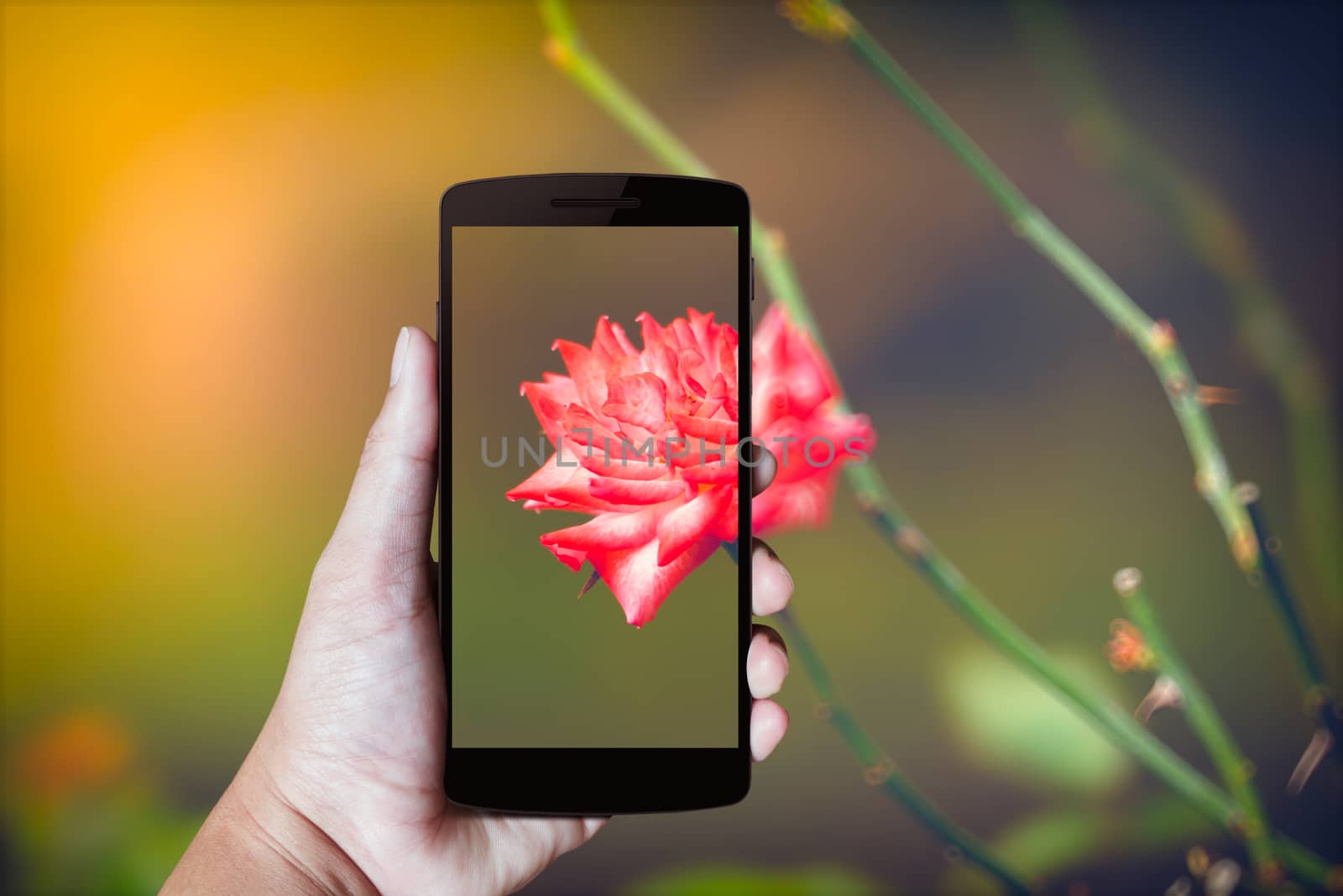 Modern mobile phone in the hand,on blur background image 