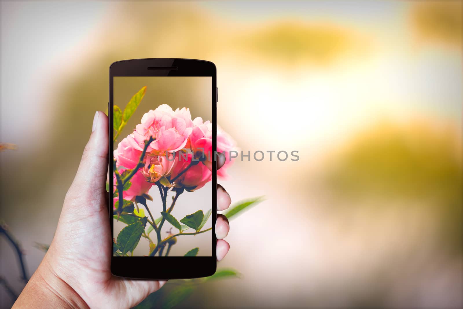 Modern mobile phone in the hand,on blur background image 