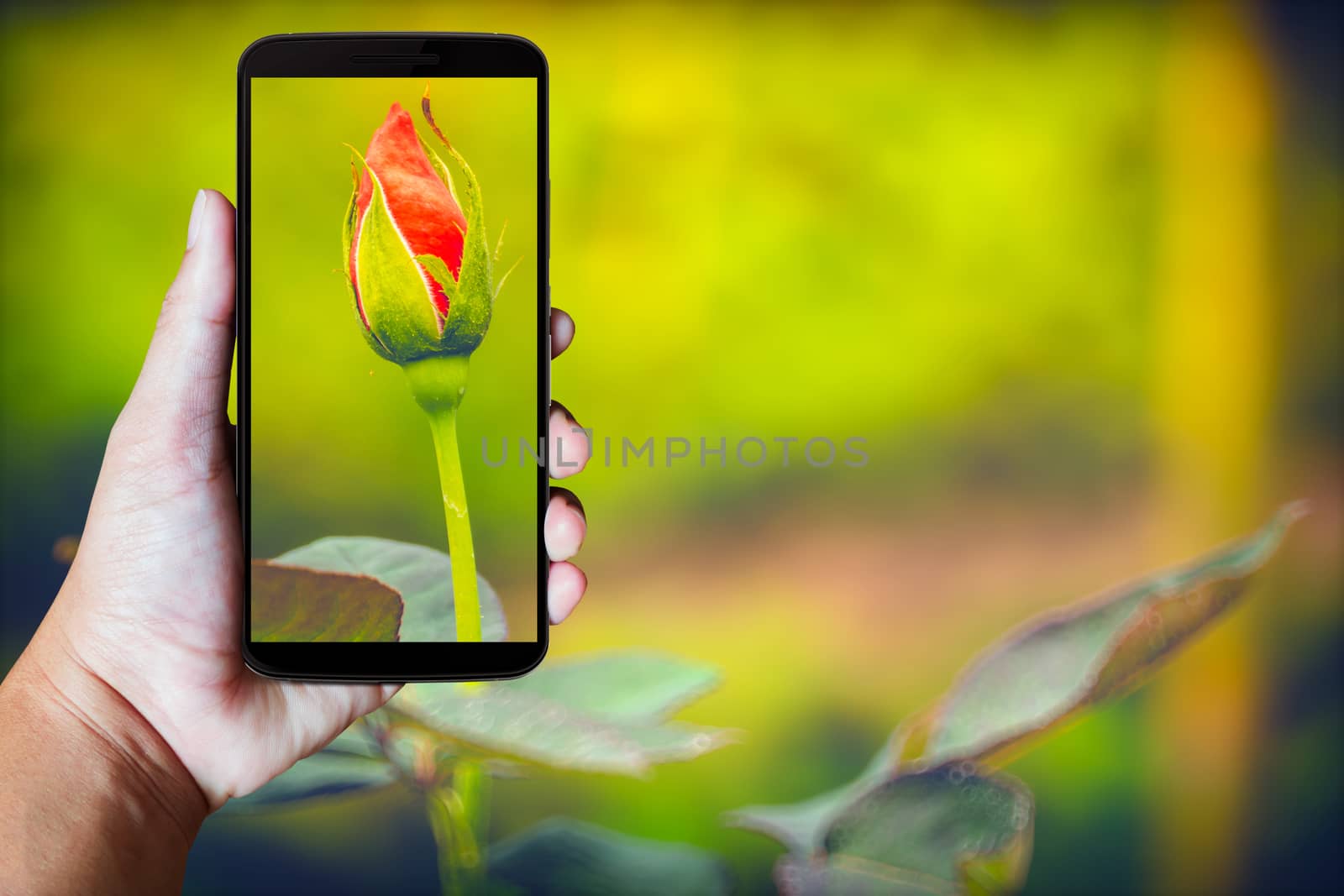 Modern mobile phone in the hand,on blur background image 