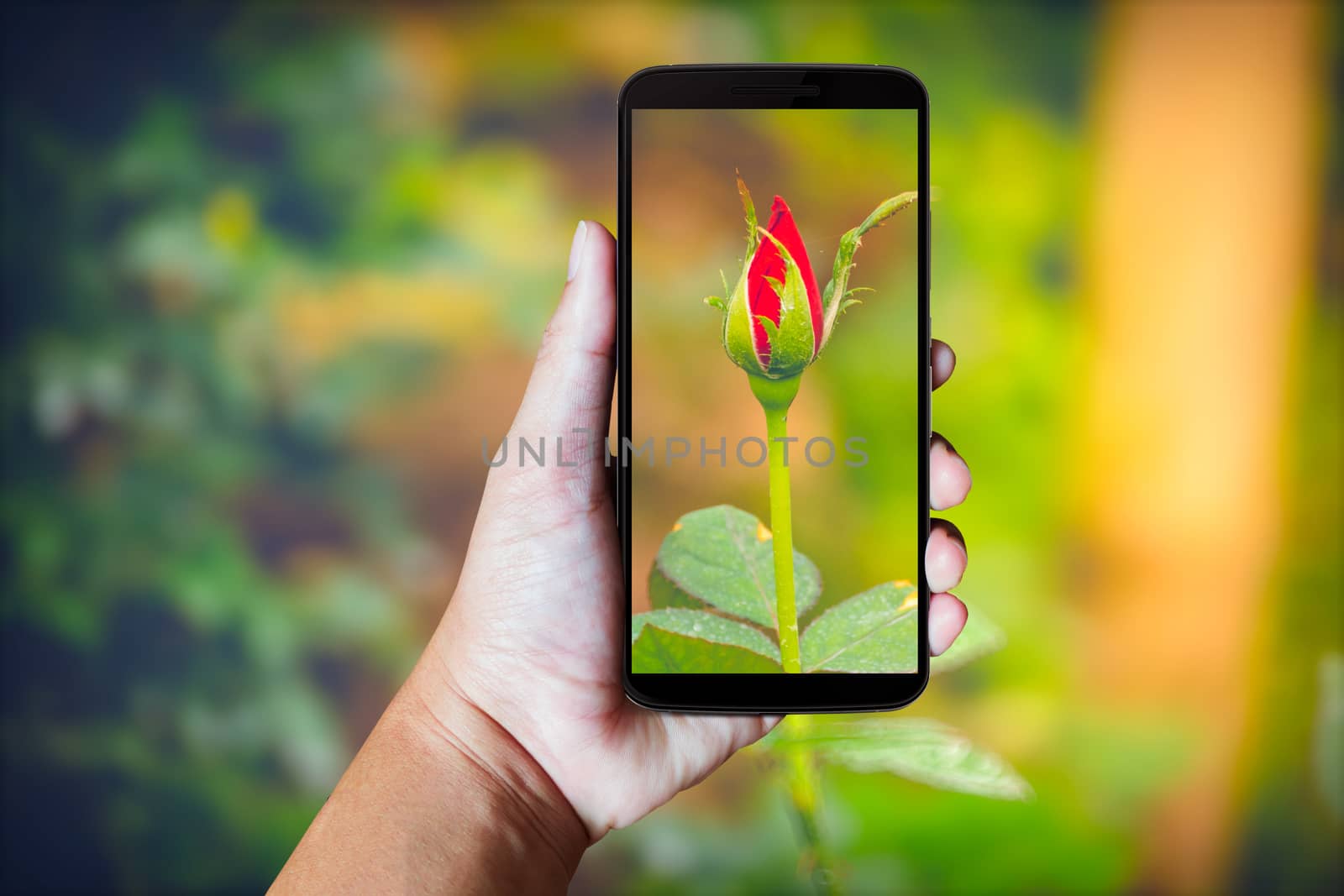 Modern mobile phone in the hand,on blur background image 