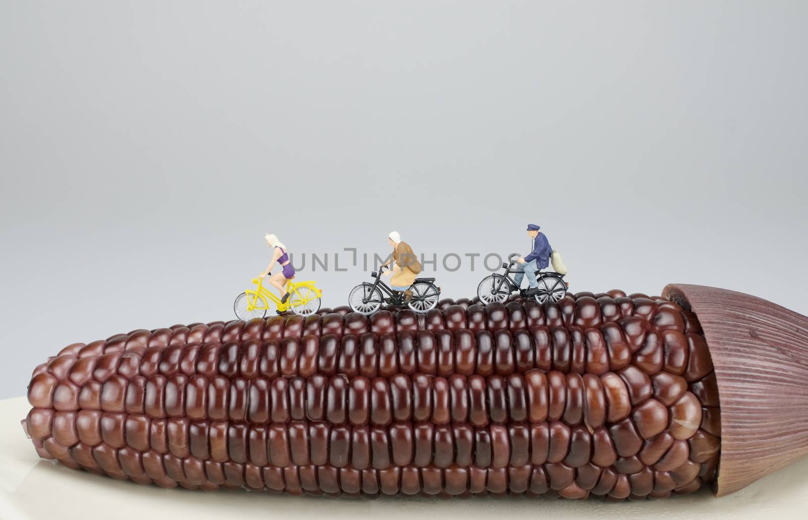 Miniature people on black corn by ninun