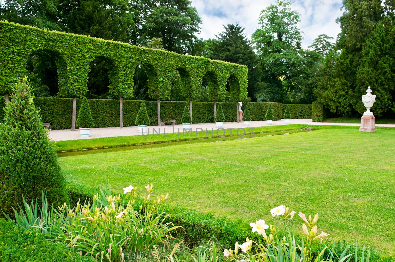  lawn and hedge in a summer park