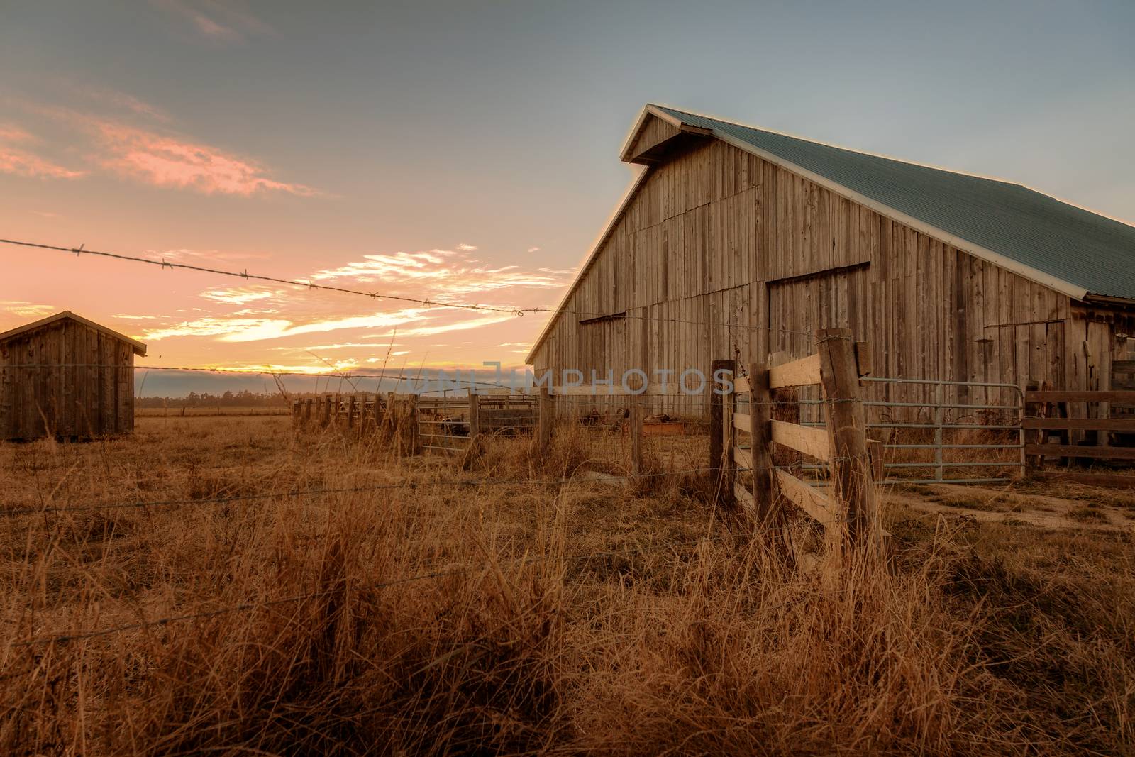 Sunset at the Farm, Northern California, USA, Color Image