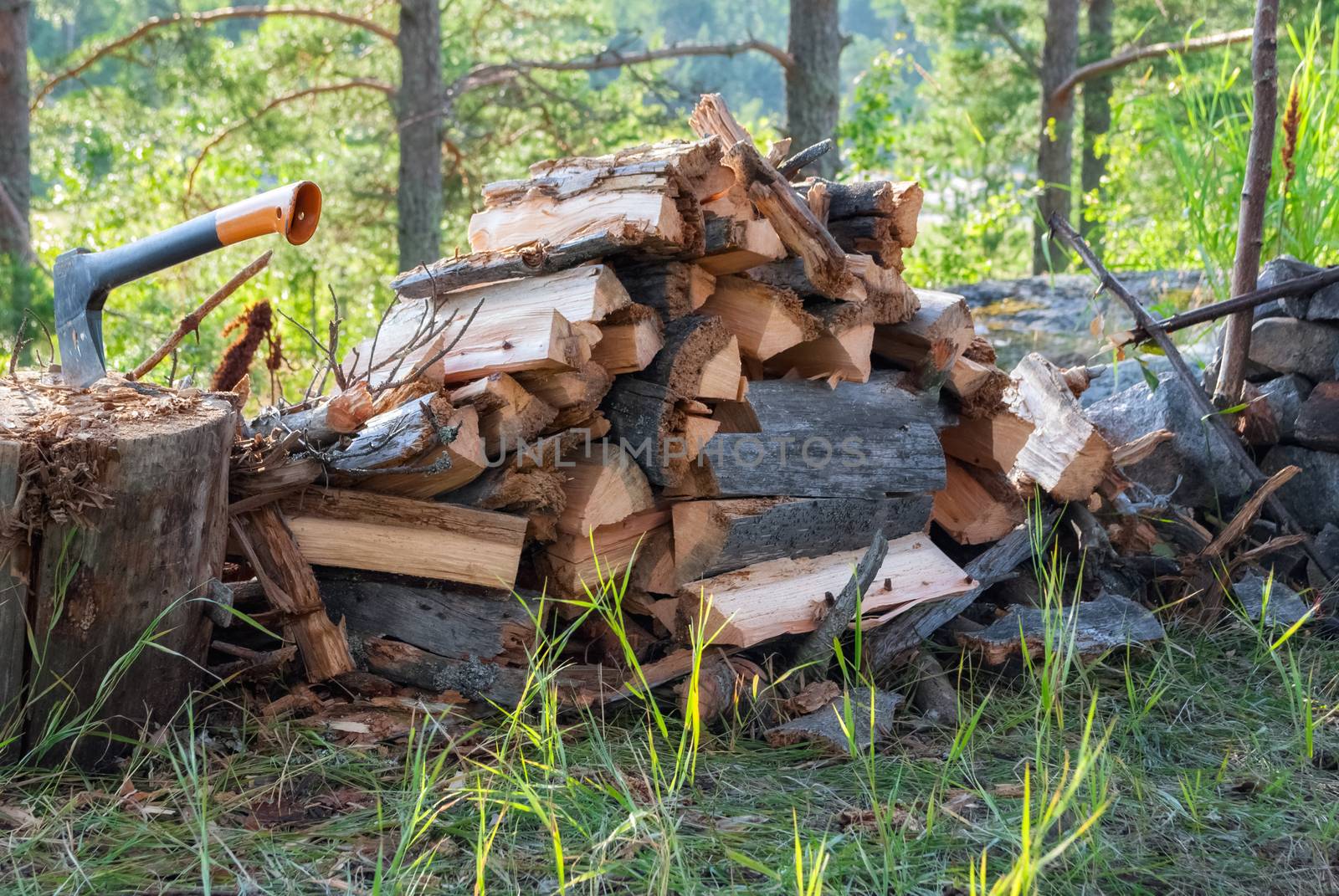 Firewood collected woodpile and ax stuck in an old stump in the Karelian forest on a bright sunny day.
