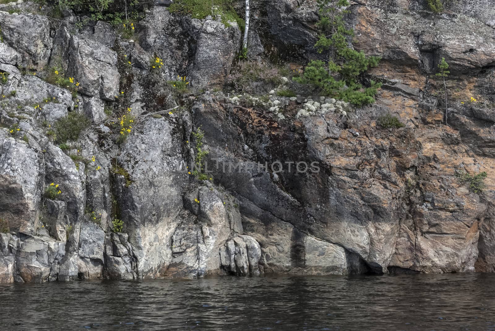 A view of the harsh rocky shore of Ladoga lake, overgrown with moss and shrubs.