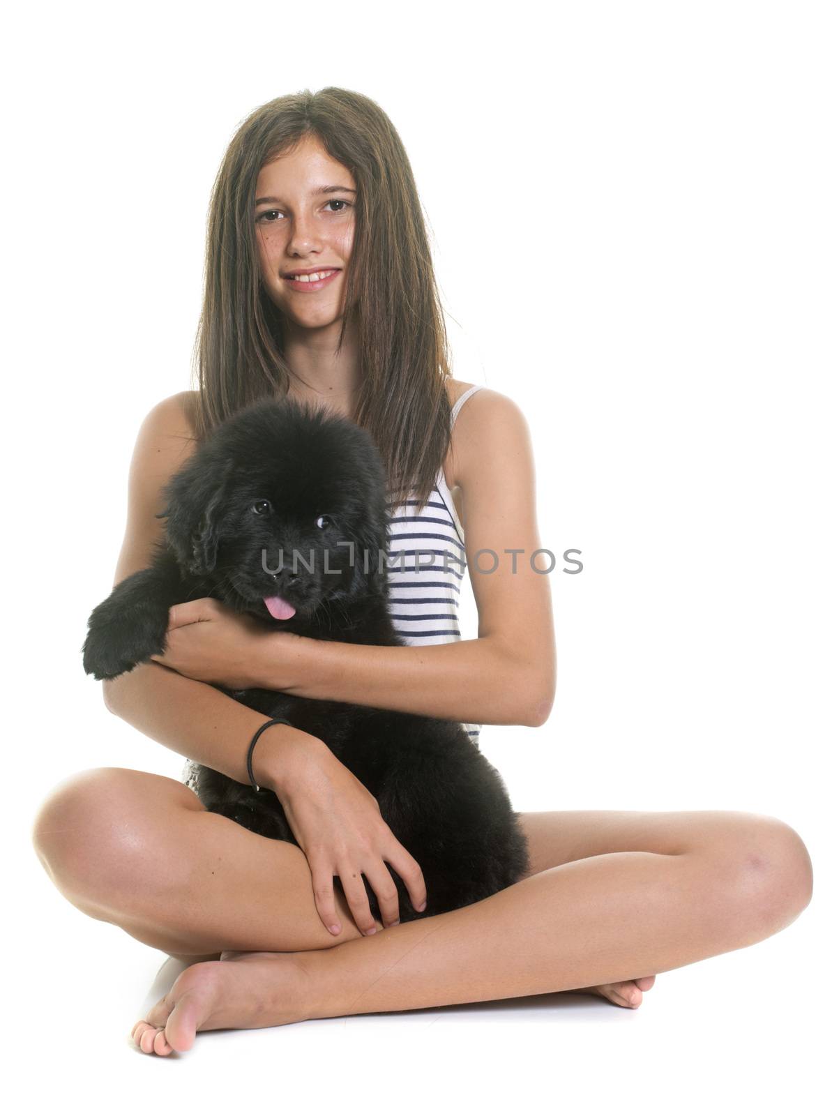 puppy newfoundland dog and child by cynoclub
