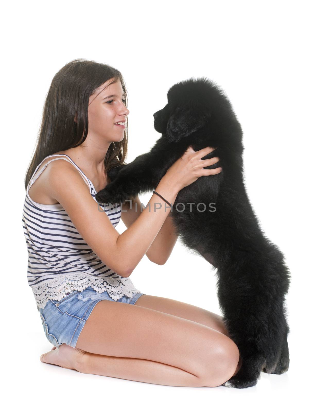 puppy newfoundland dog and child in front of white background