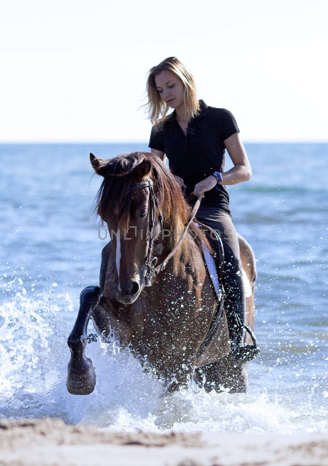 horsewoman and her horse on the beach