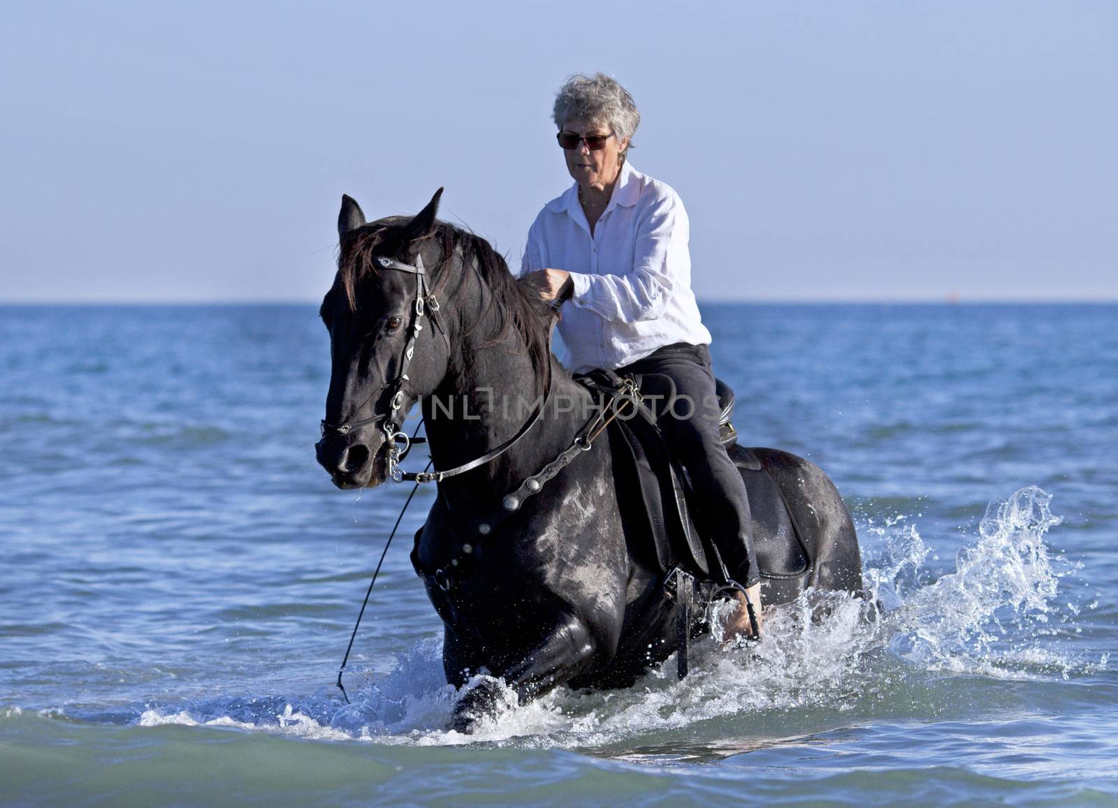 horsewoman and her horse in the sea