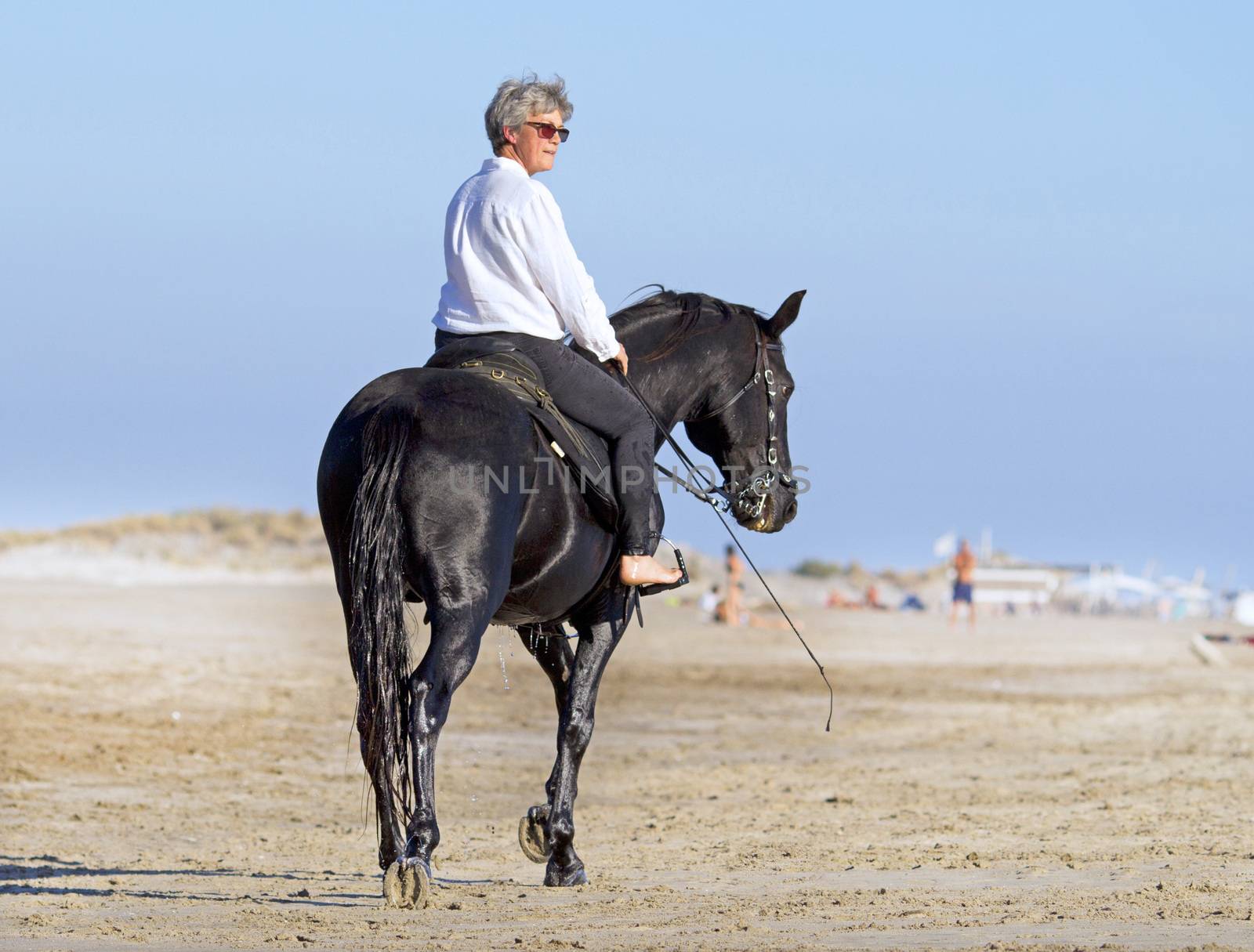 horsewoman and her horse on the beach